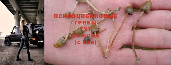 наркотики Алексин