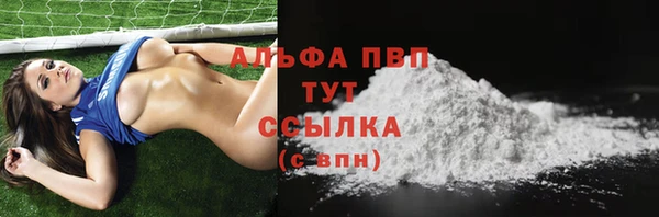 винт Алзамай