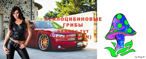 винт Алзамай
