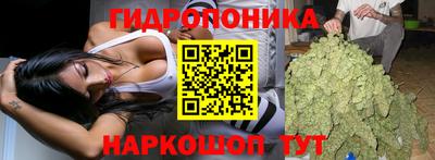 PSILOCYBIN Севастополь